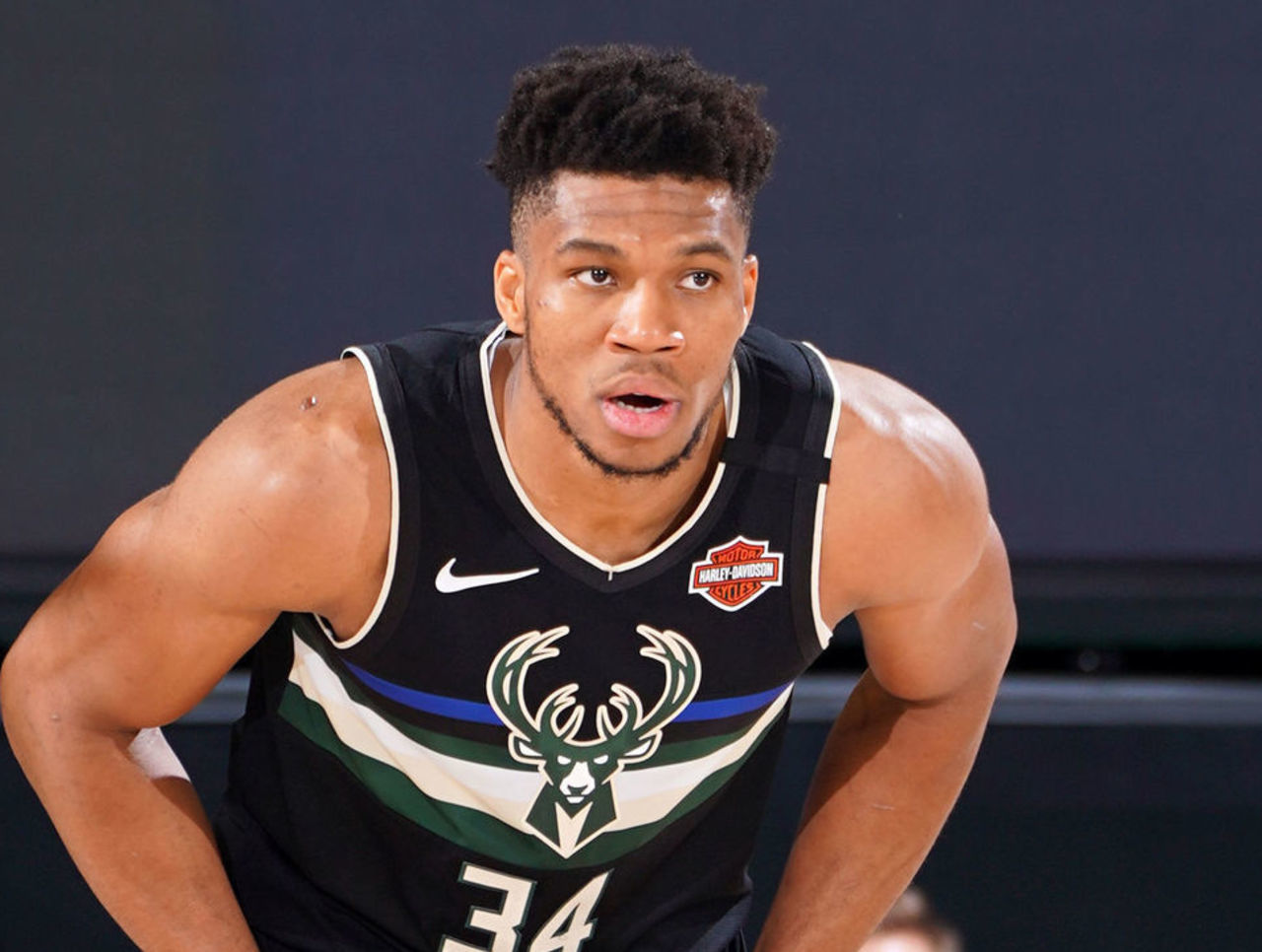 也迎来了新 也迎来了新